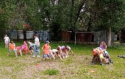 IMG_1580.jpg