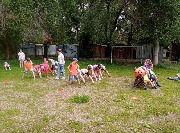 IMG_1580.jpg