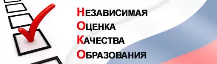 noko_1.jpg